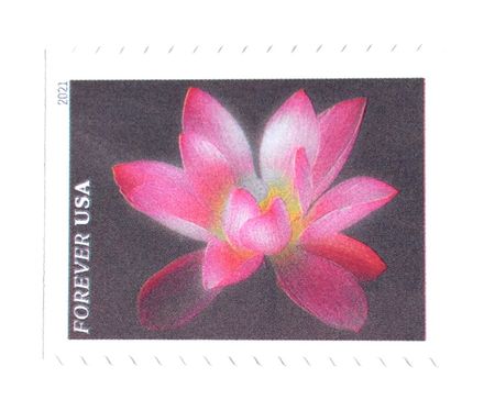 100 Pink Flower Forever Postage Stamps Unused Botanical Stamps For Mailing Wedding Invitations Save the Dates and Cards